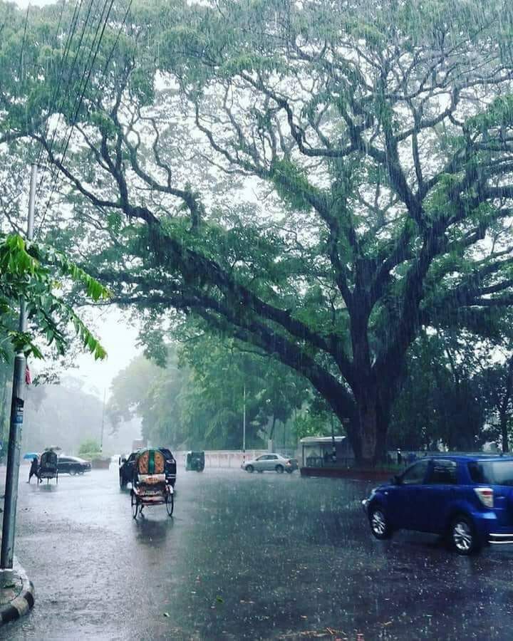 বৃষ্টির রাস্তা